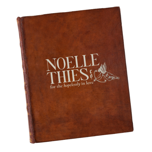 Noelle Thies Co photography brand voice guide and website copywriting from Write By Firelight Copywriting portfolio